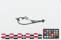 Foto von Bronzeschlangenfibel (NHMW-PRAE-024943)